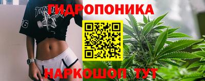 мдпв Севастополь