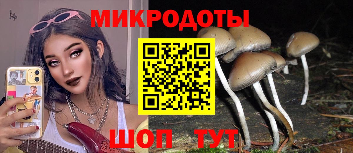 Псилоцибиновые грибы MAGIC MUSHROOMS  Вход с VPN  Рыбинск 